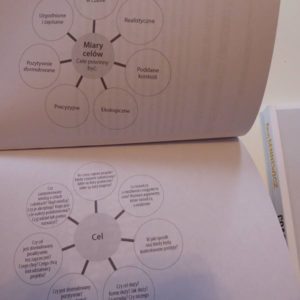 Coaching. Zestaw narzędzi