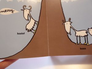 Recenzja: Księga ryków