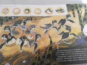 Recenzja: "Żółwik z oceanu"