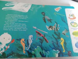 Recenzja: "Żółwik z oceanu"