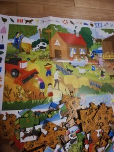 Recenzja: "Puzzle obserwacyjne. Na Wsi"
