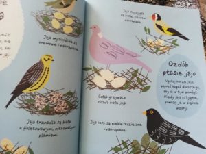 Recenzja: "Dzień z przyrodą"