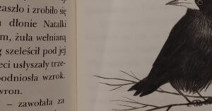 Recenzja Lola i ptaki. Poziom 3, Pudel na dyskotece. Poziom 1, Chrapka na apkę. Poziom 1 (4)