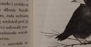 Recenzja Lola i ptaki. Poziom 3, Pudel na dyskotece. Poziom 1, Chrapka na apkę. Poziom 1 (4)