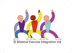 Bilateralna Integracja